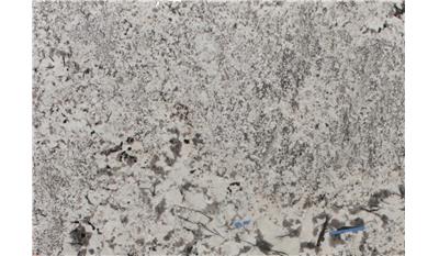 Rigel White Granite slab 