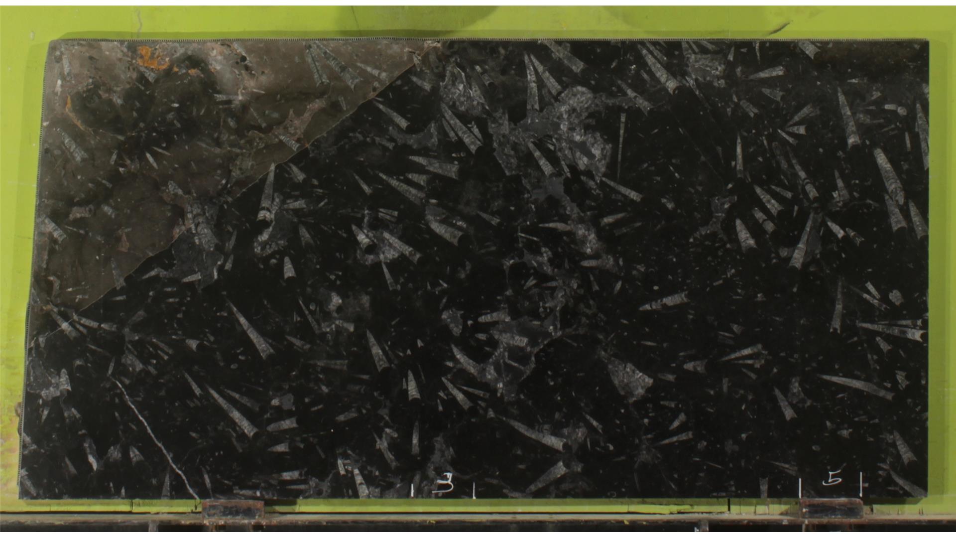 Cafe Argento Polished 2CM