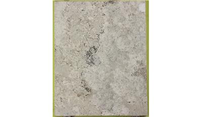 Adonis White Granite slab 