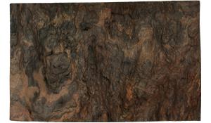 Fusion Wow Quartzite slab 3 cm