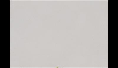 Organic White  Quartz slab 3cm